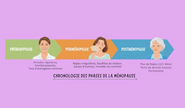 Schéma en 3 étapes (préménopause, périménopause, post-ménopause) sur une frise des phases de la ménopause