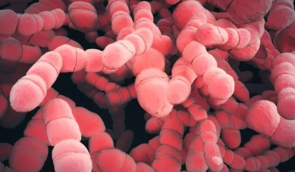 Illustration de molécules représentant les hormones.