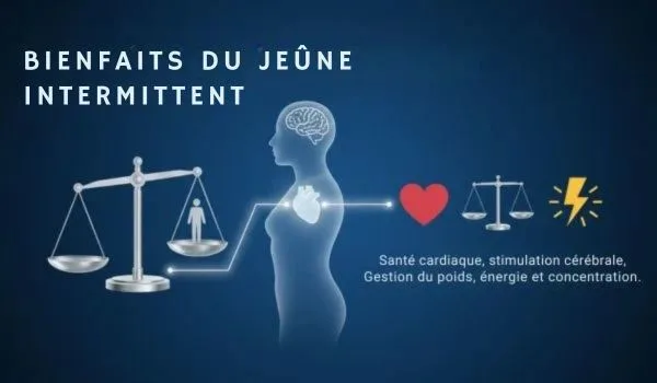 Infographie style santé sur fond bleu présentant les bénéfices du jeûne intermittent avec
icônes cerveau, cœur, balance et énergie, axée gestion du poids et focus