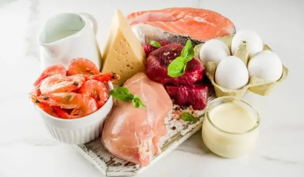 Aliments riches en protéines : poisson, œufs, poulet, crevettes et fromage