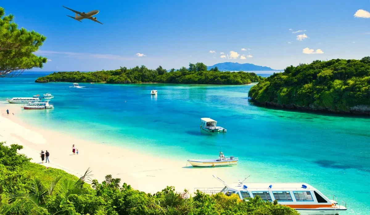 Zone bleue les secrets puissants de la longévité