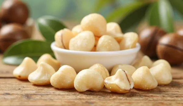 Noix de macadamia entourées icônes antioxydants, protection cellules vieillissement