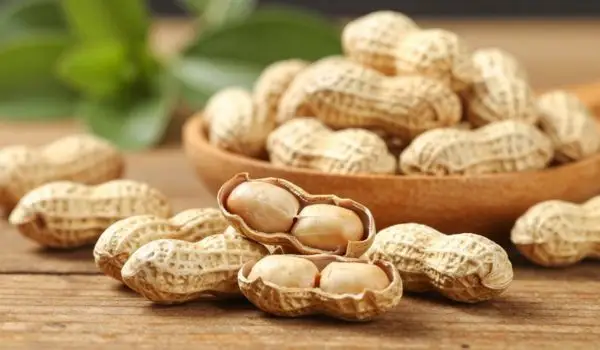 Cacahuètes nature décortiquées et entières avec feuilles vertes, source protéines végétales
saines après 50 ans
