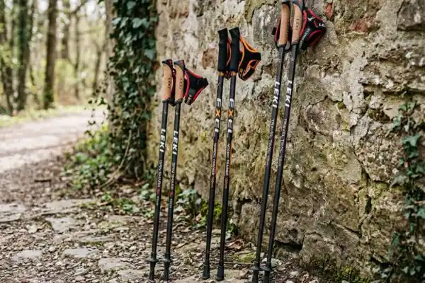Trois paires de bâtons de marche nordique en carbone
posées contre un mur, modèles Leki et Exel de différentes tailles